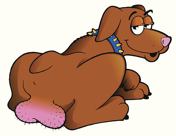 illustrazioni stock, clip art, cartoni animati e icone di tendenza di cane con una metafora di qualcosa di molto bene! - smug
