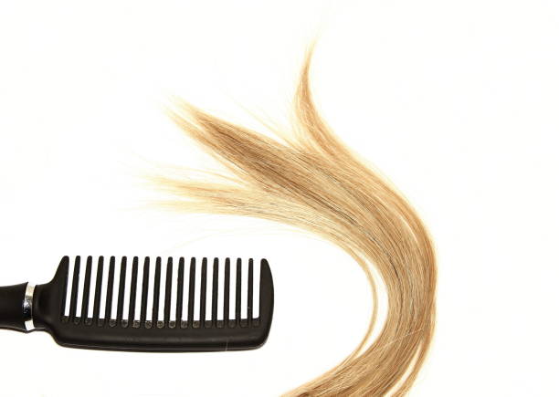 istock hair salon accessories 1086685738