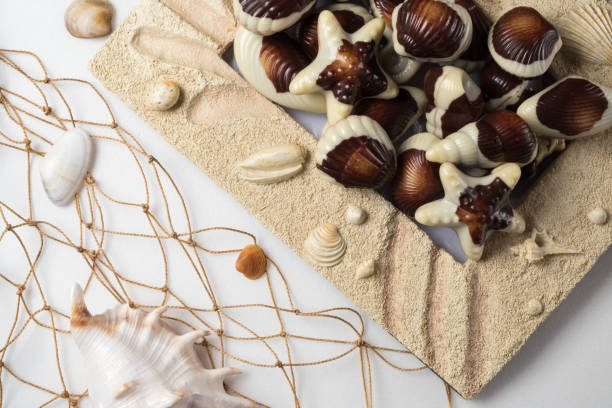 istock Chocolate candies, traditional Belgian shell shape. 1086686338