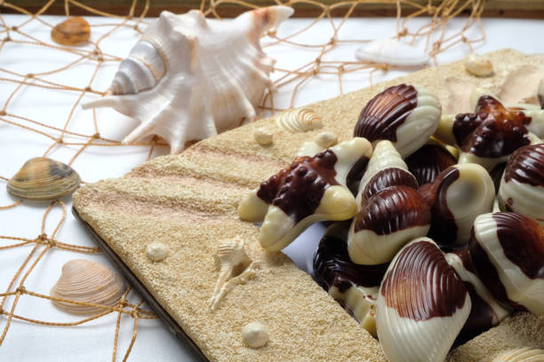 istock Chocolate candies, traditional Belgian shell shape. 1086686362