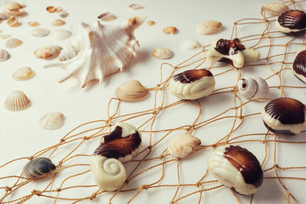 istock Chocolate candies, traditional Belgian shell shape. 1086687658