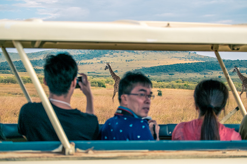 Masai Mara, KENYA - September, 2018. \nTourists on a jeep photograph a giraffe in the savannah