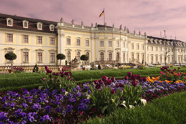 pałac ludwigsburg z wiosny kwiat, rano - ludwigsburg zdjęcia i obrazy z banku zdjęć