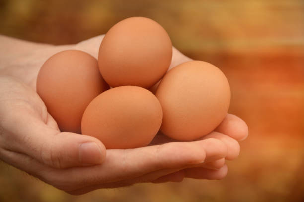 istock Fresh, organic eggs in male hand 1086702698