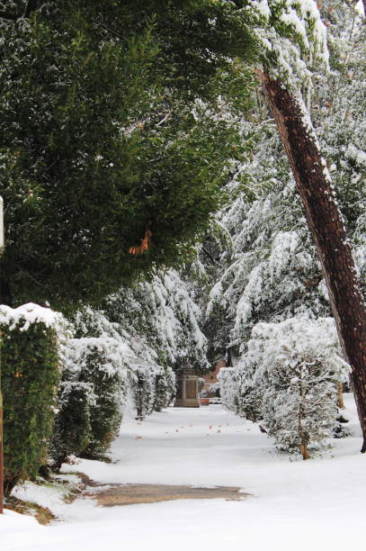 istock Winter snow on walkway in a public park 1086707588