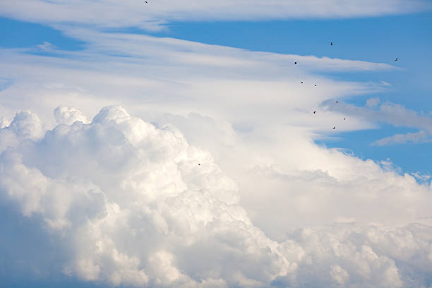 Clouds and birds stock photo