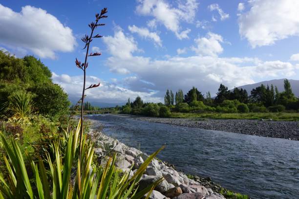 トンガリロ川の風景 - new zealand flax ストックフォトと画像