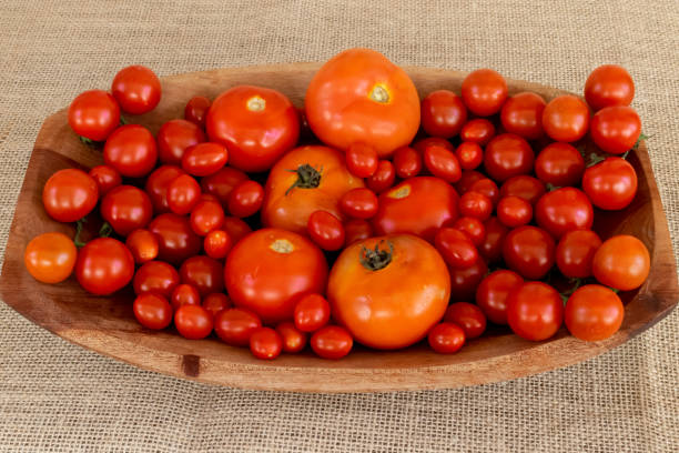 istock Varieties of red tomatoes arranged on rustic background. With written area. 1086718444