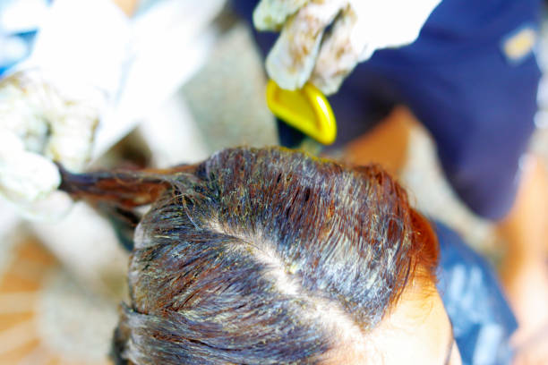 istock dyeing hair process or Process of coloring hair 1086740018