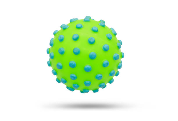 istock Rubber toy ball isolated on white background : this had clipping path 1086740230