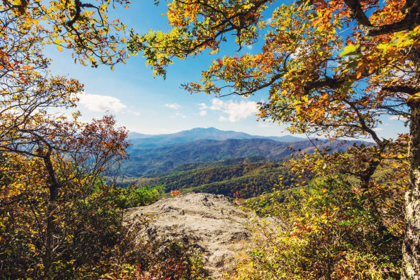 istock Path to the edge of a cliff 1086742982