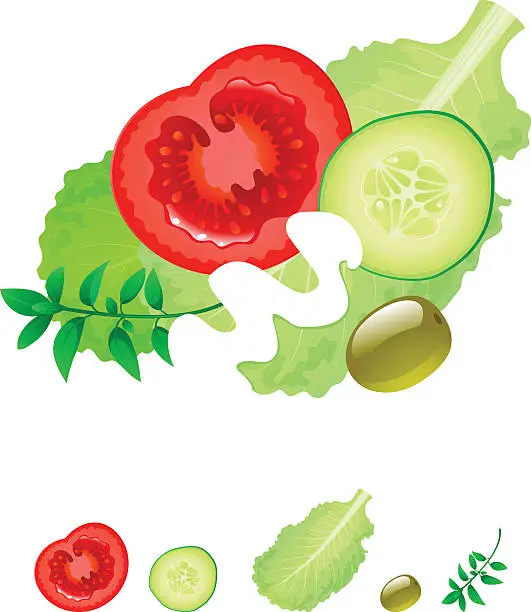 Vector illustration of Salad with cucumber and tomatoes