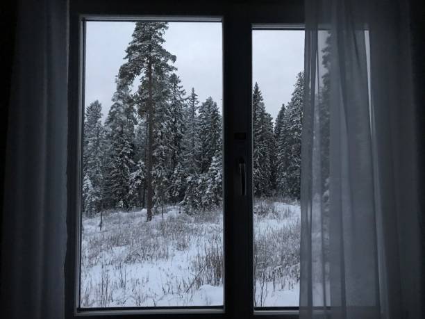 istock through the hotel window to see tall pine trees covered with snow in winter 1086768376