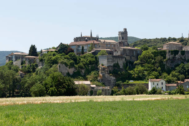 valle del ródano, francia - globe grape fotografías e imágenes de stock