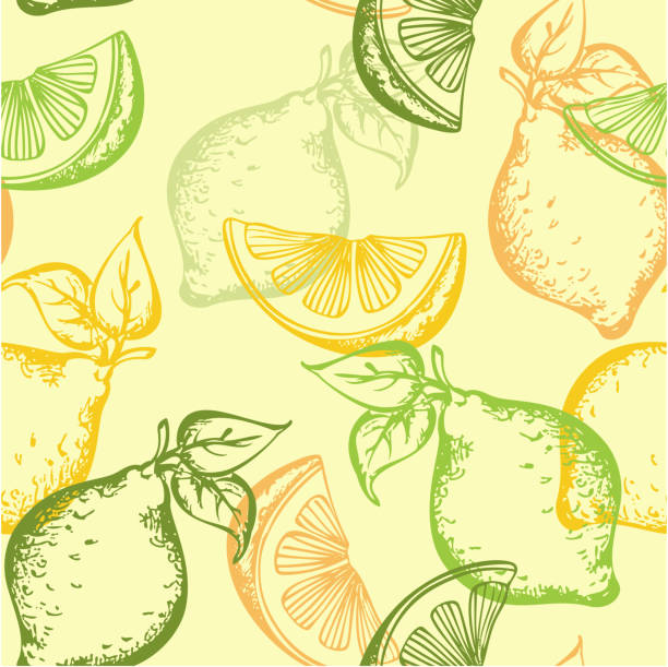 citrus seamless pattern vector citrus seamless pattern on a green background valencia orange stock illustrations