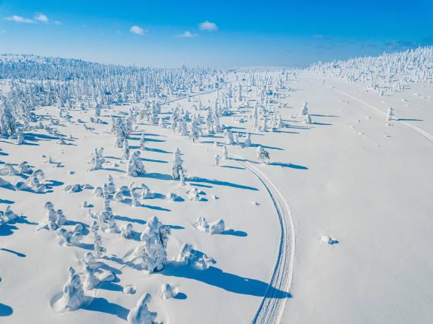 luftaufnahme des weißen winterwald mit schnee bedeckt, bäume und landstraße in finnland - snow winter mountain horizon over land stock-fotos und bilder