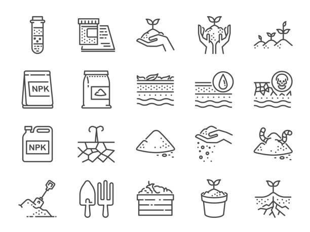 ilustraciones, imágenes clip art, dibujos animados e iconos de stock de conjunto de iconos de la línea de suelo. incluye los iconos como tierra, abono, tierra, suciedad, tierra y mucho más. - plant environment