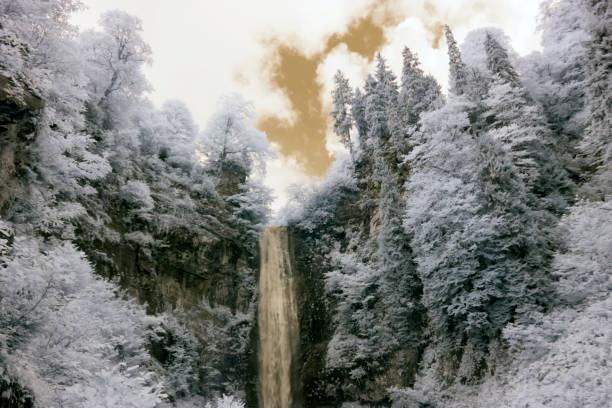 istock Surreal Infrared landscape 1086822690