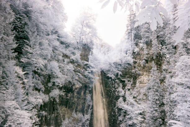 istock Surreal Infrared landscape 1086823170