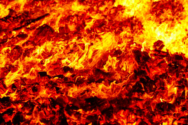 Beautiful fire flames on a black background.