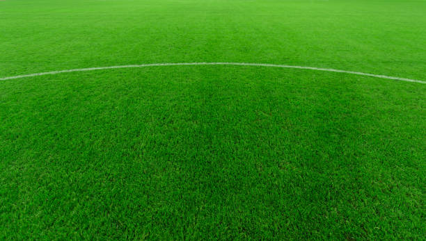 istock Neatly lush football pitch close-up 1086825232