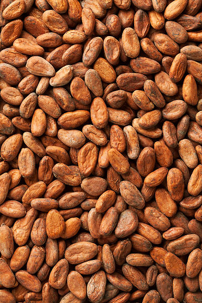 istock Closeup of many brown cacao beans 108682803