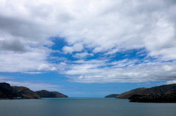 istock Lyttelton port view from Quail Island 1086840876