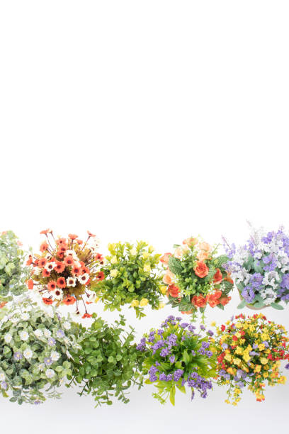 istock Artificial flowers in pots isolated. 1086841156