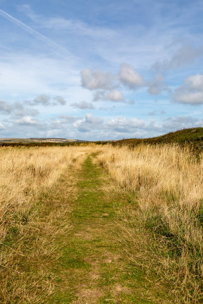 istock Isle of Wight Landscape 1086842726