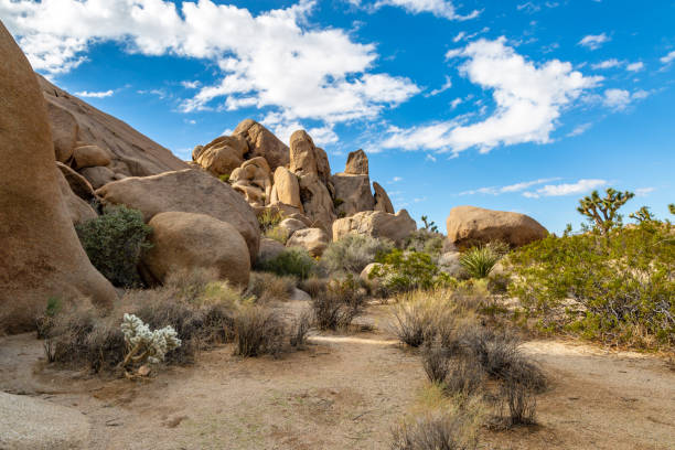 istock Rocks in Joshua Tree National Park 1086842876