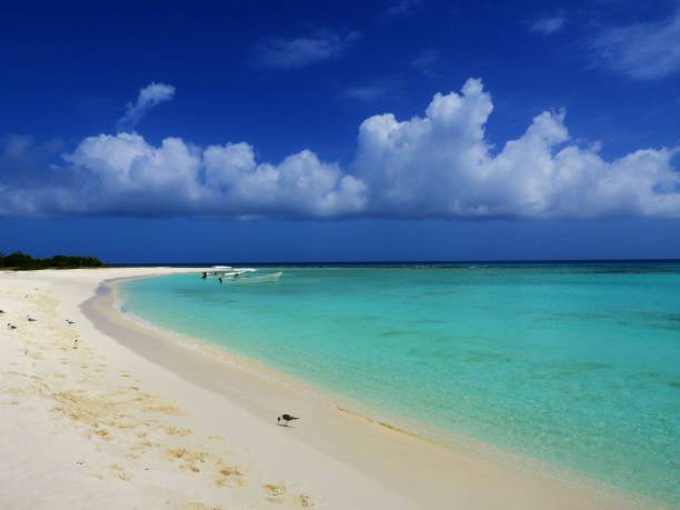 istock Los Roques, a beautiful caribbean sea 1086859394