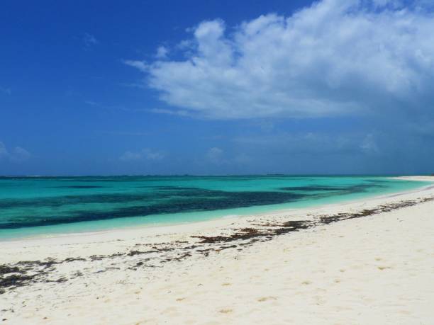 istock Los Roques, a beautiful caribbean sea 1086859434