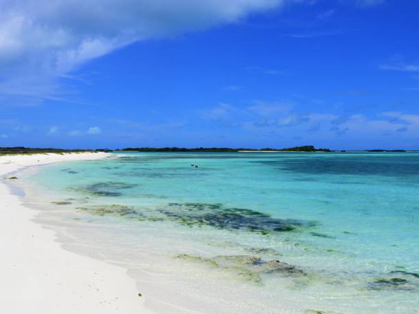 istock Los Roques, a beautiful caribbean sea 1086859456
