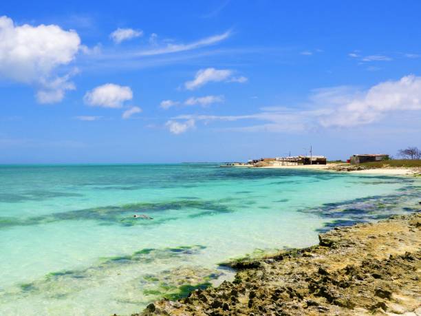 istock Los Roques, a beautiful caribbean sea 1086859464