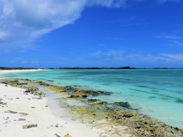 istock Los Roques, a beautiful caribbean sea 1086859466