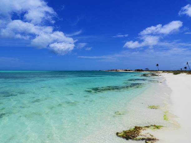 istock Los Roques, a beautiful caribbean sea 1086859478