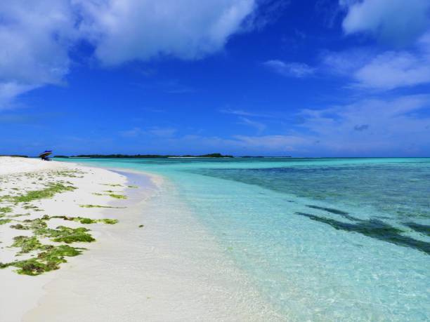 istock Los Roques, a beautiful caribbean sea 1086859494
