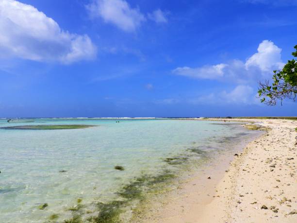 istock Los Roques, a beautiful caribbean sea 1086859522