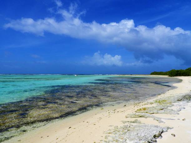 istock Los Roques, a beautiful caribbean sea 1086859524