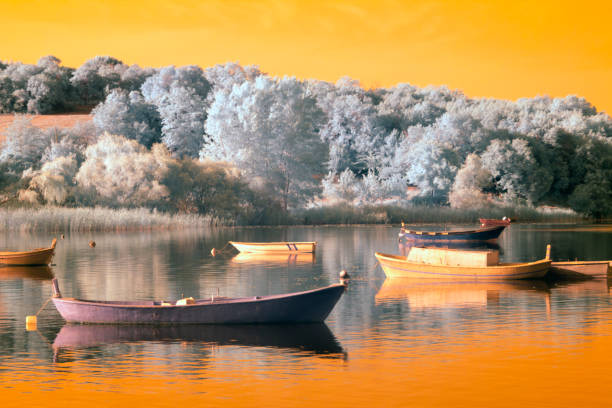 istock Surreal Infrared landscape 1086864622