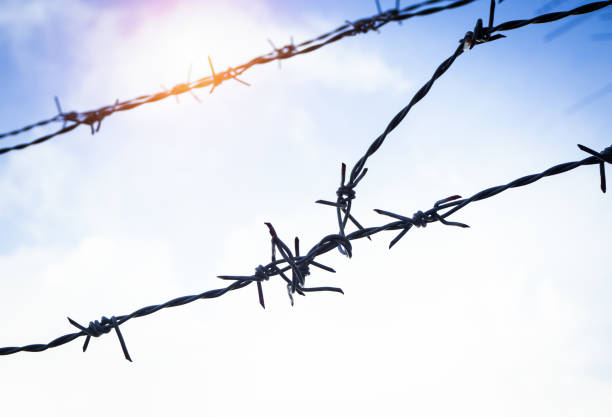 istock The silhouette Barbed wire fence,made from iron,thorn and rust from long time used 1086870228