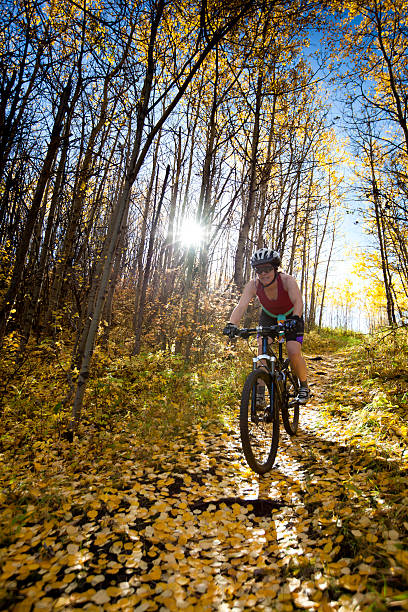 istock Woman mountain biking 108687290