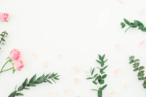 istock Floral frame of pink roses and eucalyptus branches on white background. Flat lay, top view 1086874922