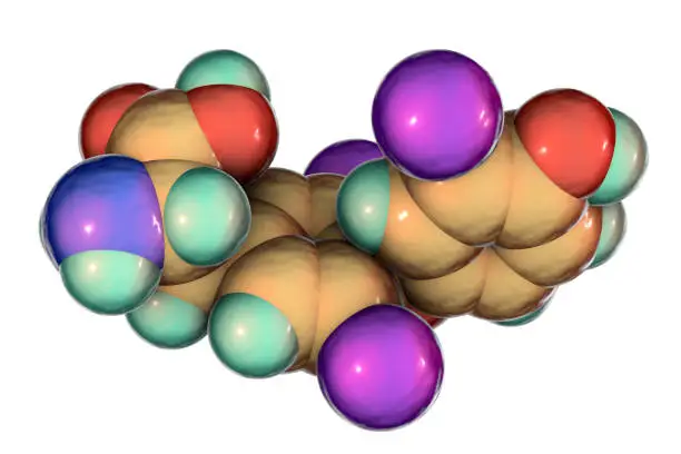 Molecule of triiodothyronine, T3, a hormone produced by thyroid gland, 3D illustration
