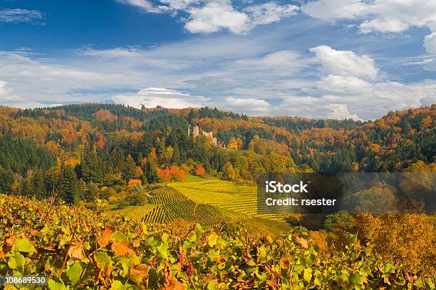 Herbstliche Schauenburg - zdjęcia stockowe i więcej obrazów Czerwony - Czerwony, Drzewo, Fort