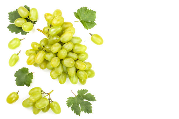 istock green grapes isolated on the white background with copy space for your text. Top view. Flat lay pattern 1086895796