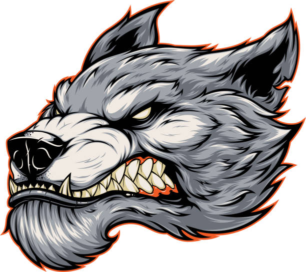 ilustraciones, imágenes clip art, dibujos animados e iconos de stock de cabeza de un lobo feroz hombre lobo - perro salvaje