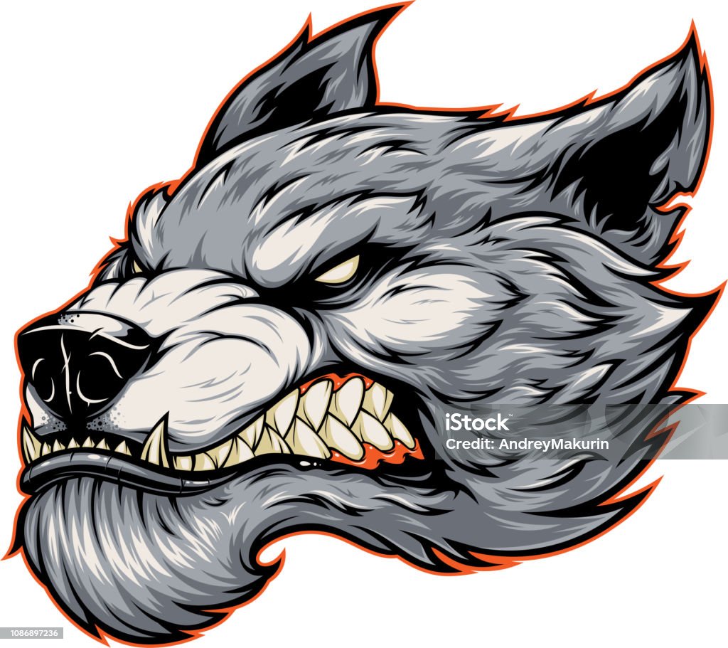 Head of a fierce werewolf wolf Vector illustration, head of a ferocious werewolf wolf, in cartoon style, isolated on white background Wolf stock vector