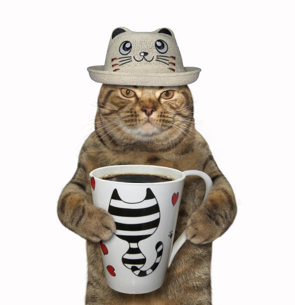 istock Cat in a funny hat with coffee 1086901058