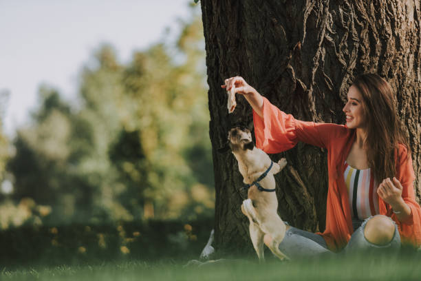 istock Smiling girl is playing with her dog 1086915428